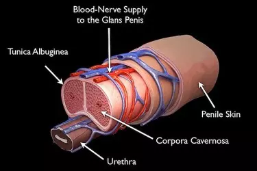 best doctor for the treatment of ED in india, best hospital for the treatment of ED, non surgical treatment for ED, surgery for erectile dysfunction in india